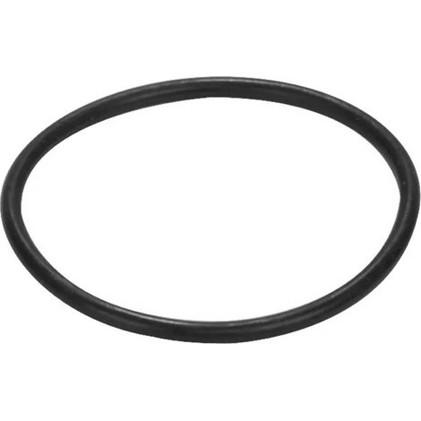 GUARNIZIONE O-RING 161 PER SEDE ESTRAIBILE PUCCIPLAST Srl
