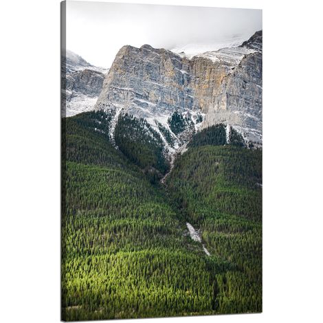 Leinwanddruck Natur Berghang Bäume 50x80
