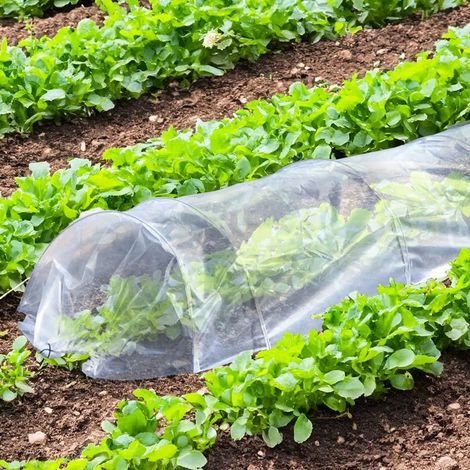 Tunnel de Forçage 3m pour potager (1/5)