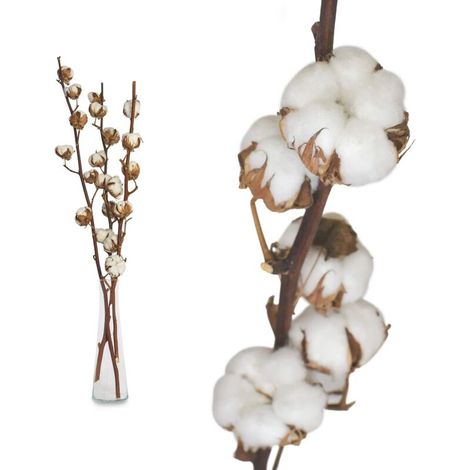 3 Pack Fleurs de Coton Sechee Naturelle Fleurs Sechees Tige Coton Fleur Naturel Fausses Branches Coton Fausses Plantes Décoration pour Balcon Maison Table Composition Florale (1/5)
