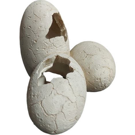 Grotte en motif oeuf 20x13x15cm pour reptiles - Trixie
