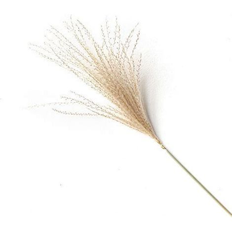 100 pièces Lagurus ovatus séché naturel, décor de fleurs d'herbe de pampa séchée (1/5)