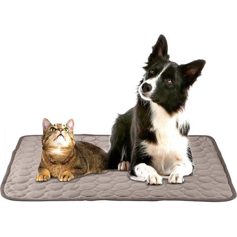 Tapis rafraîchissant pour chien, coussin rafraîchissant en gel auto-rafraîchissant pour chat, tapis rafraîchissant d'intérieur et d'extérieur pour chat, bleu chaud d'été, taille L (100 x 70 cm) (1/5)