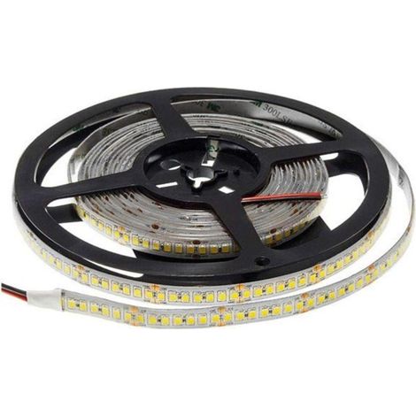 Ruban LED 5M 24V 2835 IP65 196LED/m - Blanc Froid 6000K - 8000K - SILAMP