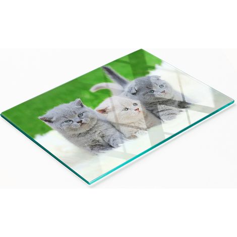 Tabla de cortar de cristal para cocina con estampado de tres gatos y manta, 80x52 cm.