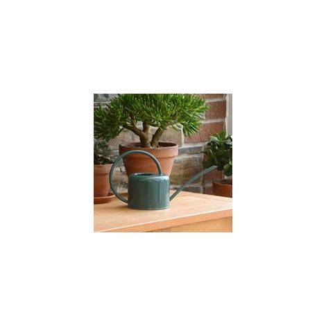 Petit arrosoir d'intérieur de 1,1L en acier galvanisé avec revêtement en poudre de couleur craie, pour plantes d'intérieur design contemporain en métal avec bec étroit et poignée haute (vert)