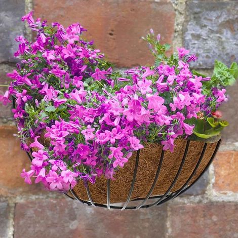 Hanging Fence Planter 12 Inch Metal Hanging Planter with Tray & Drainage Holes, Wall Mounted Herb Flower Pot for Balcony Patio Garden
