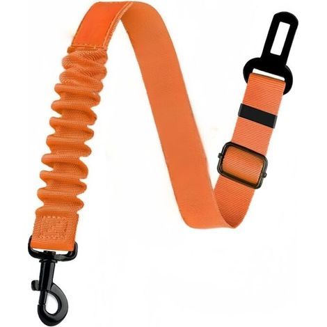 Dog safety harness