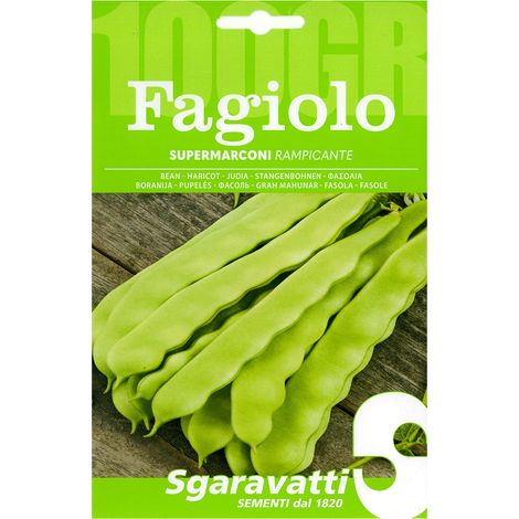 SEMI PER FAGIOLI fagiolo rampicante supermarconi - gr 100 Q.TA 5 fagiolo rampicante supermarconi - gr 100