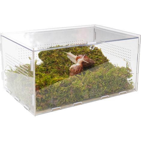 Terrarium en Acrylique pour Escargots Cage d'Élevage Transparente avec Boîte de Transport pour Reptiles Insectes et Petits Animaux Complet avec Mousse de Tapis (1/4)