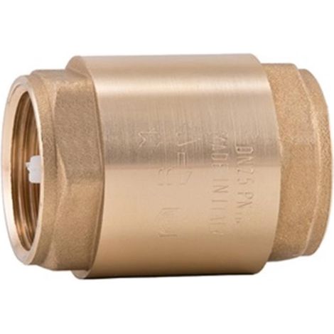 CLAPET ANTI-RETOUR - CLAPET ANTI-RETOUR 2" / ACS