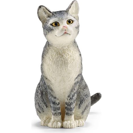 Gatto seduto