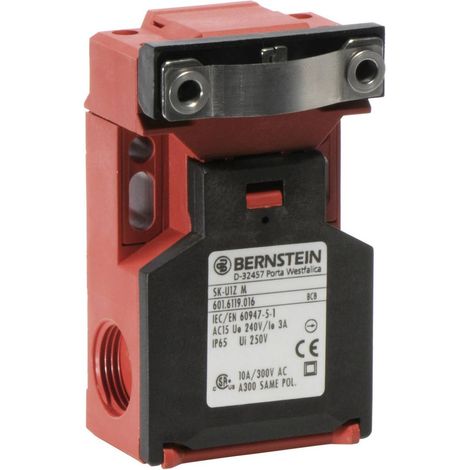 BERNSTEIN 6016119016 SK-U1Z M Interruttore di sicurezza 240 V/AC 10 A attuatore separato Momentaneo IP65 1 pz.