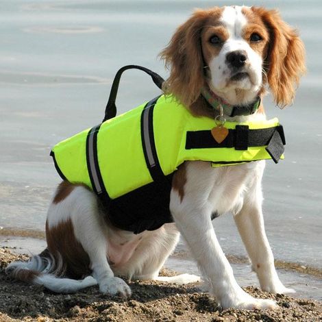 Gilet de sauvetage chien vert taille M - veste flottante réfléchissante pour sécurité maximale en eau et natation (1/5)