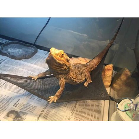 2 pièces Hamac pour reptiles pour lézards barbus, geckos, hamacs pour geckos, hamac en maille respirante, adapté pour geckos, serpents, caméléons, lézards barbus, noir (1/5)