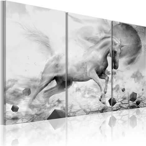 Quadro - Unicorno ai confini del mondo - 120x80 (1/4)