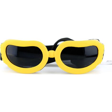 Lunettes de protection pour chien petite variété, lunettes de soleil pour chien (1/3)