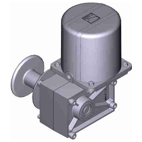 Motoriduttore Motore Elettrico Cat-X24 24V Ricambio CAME 119RIX024