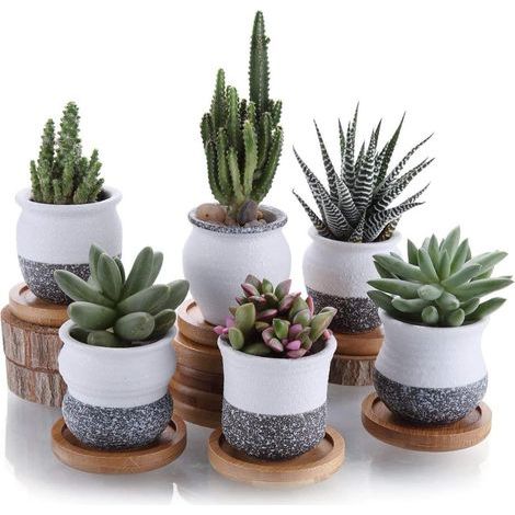 7CM Pot de Succulent en Céramique avec Plateau en Bambou Lot de 6, Cactus Plante Planteur Cache Pot Jardinière Contenant Décoration de Maison Bureau(Les Plantes ne sont Pas incluses) (1/5)