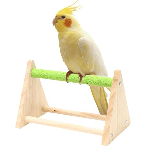 Perchoir pour perroquet - Support d'entraînement en bois - Centre de jeu (1/5)
