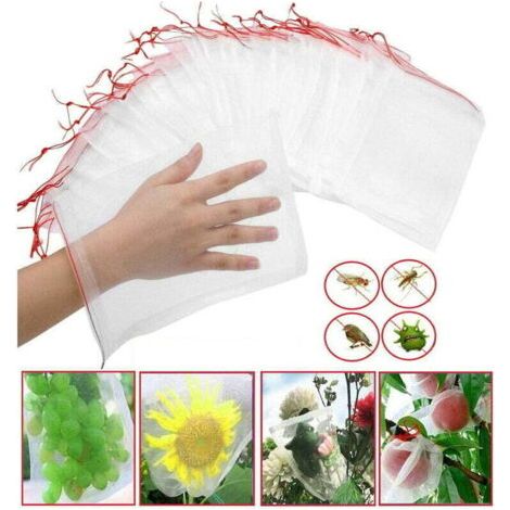 Lot de 100 sacs de protection pour fruits, filet de jardin en nylon, sacs de protection pour raisins, 30 x 20 cm, sacs de protection pour plantes afin de protéger contre les insectes, les oiseaux et l (1/4)