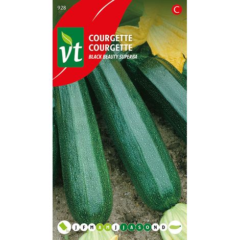 Courgette Black Beauty - Ca. 1,5 gr (Livraison Gratuite) (1/2)