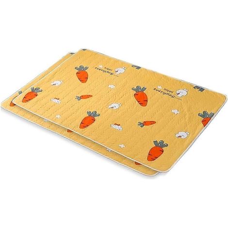 Lavable Reusable chat et chien Urine Pads pour Daily Use by chat et chiens Floor Mats chien Cages Garden 100x150cm (1/5)