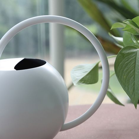 Arrosoir métallique à long bec en acier inoxydable, forme sphérique, pour arrosage des fleurs et jardinage domestique, pot portable à main. (1/5)