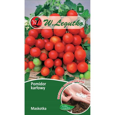 Pomodoro mascotte, piccoli, semi ricoperti, LEGUTKO