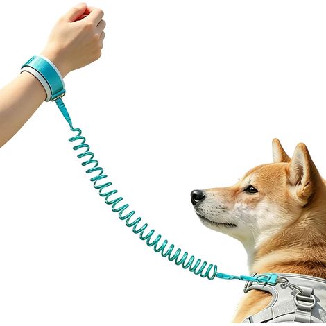Laisse résistante pour chien avec dragonne réfléchissante Laisse mains libres avec dragonne pour l'entraînement, la course à pied, les voyages, le camping, la randonnée, toutes races de chiots long (1/5)