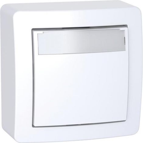 Bouton-poussoir ALRÉA 10A en saillie avec porte étiquette - SCHNEIDER ELECTRIC - SHN0262062P (1/2)