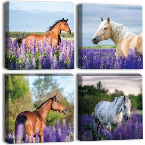 Leinwandbilder Lila Lavendel Pferd Kunstdruck 30x30cm 4-teilig (1/5)