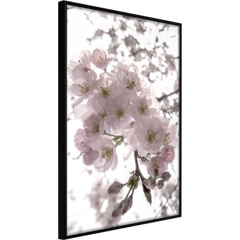 Affiche Murale Encadrée "Spring Visit" 30 x 42 cm Noir