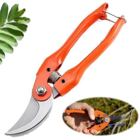 Professionelle Gartenschere - Orange - Scharfe Klinge - Ergonomischer Griff - 21 cm