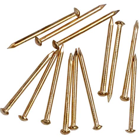 Lot de 300 clous à tête ronde en fer laitonné (25 mm) (1/5)