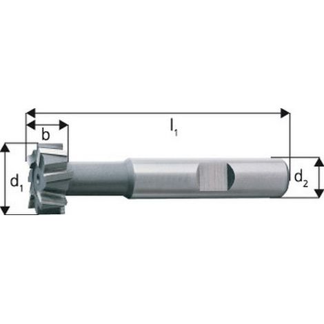 Fragola T Slot, Ø X Larghezza. D1-D11 X B - D11: 25.0 X 11 Mm, Lunghezza Totale 82 Millimetri L1, T Slot, Din 14 650, Ø Collo Circa. 12,0 Millimetri