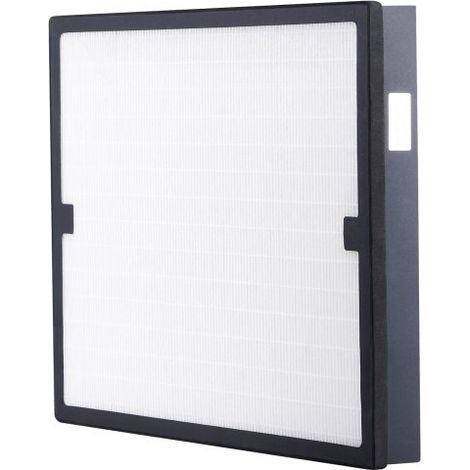 HEPA-Luftfilter, 40,4 x 48,3 cm Luftfilter-Ersatz, hocheffiziente Filter der Stufe 3, kompatibel mit BlueDri & Scrubber, Luftreinigern, Geräten zur Wasserschadensanierung