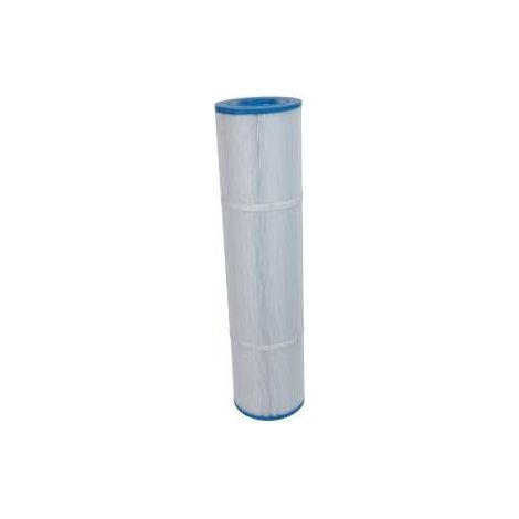 Cartouche de filtration Pentair pour Filtres RAINBOW Pentair DCS 20