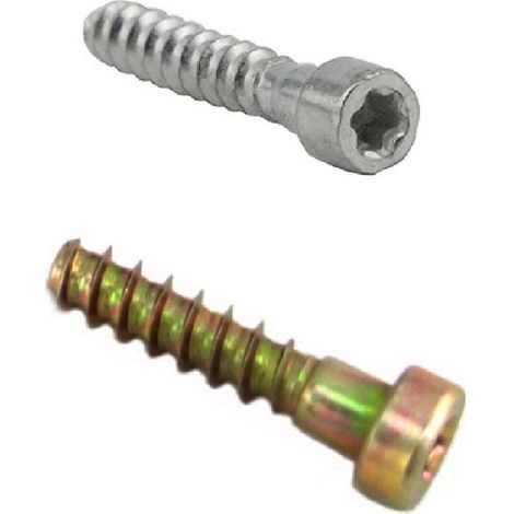 Kit 10 tornillos Autoroscado P6X21,5
