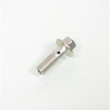Vis, raccord banjo origine pour moto Suzuki 250 DR (1/4)