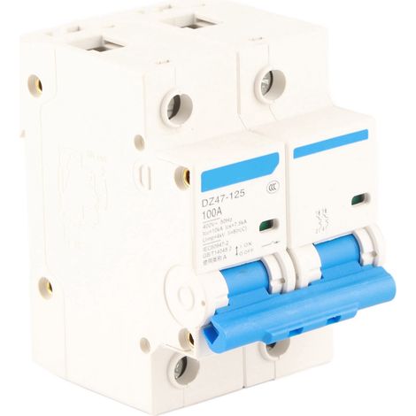 Interrupteur de protection contre les fuites 400 V 80/100/125 A DZ47‑125 2P Disjoncteur miniature (100 A) (1/5)