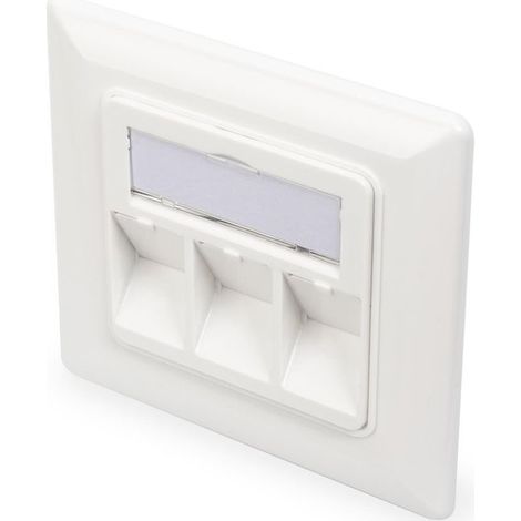 ASSMANN ELECTRONIC DN-93821 (1/2)