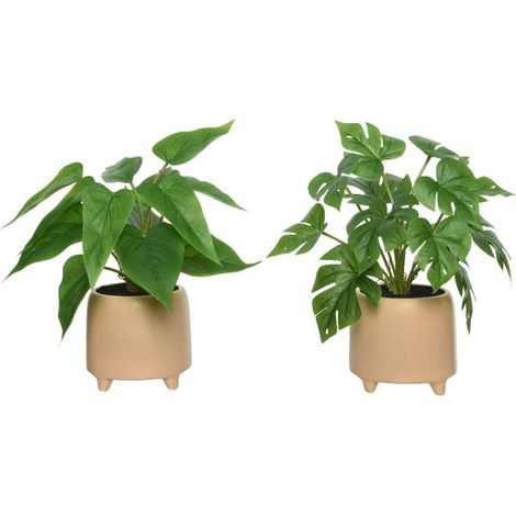 Pianta Monstera Artificiale H 28 Cm