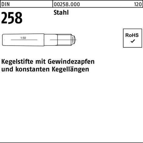 DIN 258 m.Gewindezapfen