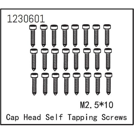 Self-tapping Cap Screw M2.5x12