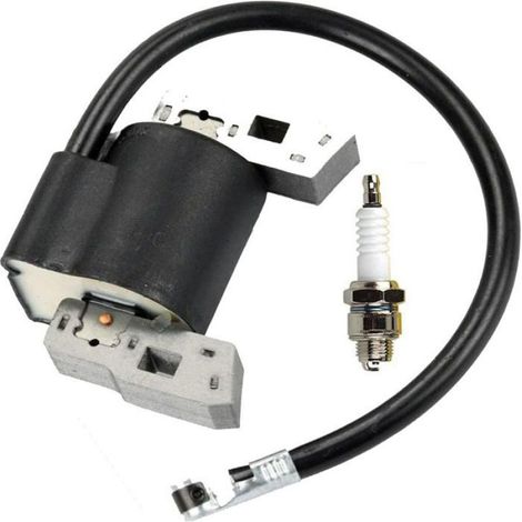 Pack Bobine d'Allumage - - Haute Tension - Compatible Moteurs 5 CV - Remplace OEM 397358 (1/4)