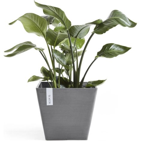 VASO ROTTERDAM GRIGIO 50CM (1/5)