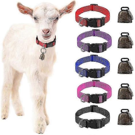 Colliers pour chèvres (lot de 5) avec clochettes, 2025, pour petits animaux de ferme (moutons, bovins) (1/5)