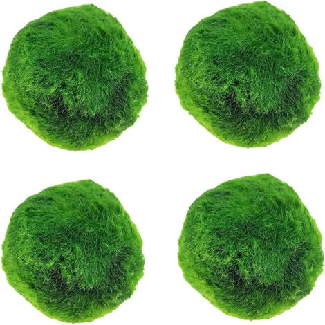 Décoration d'aquarium avec boules d'algues vertes fraîches (2,9-3,3 cm) pour embellir un aquarium avec crevettes, plantes et décoration écologique. Vert. (1/5)