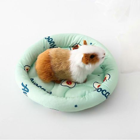 Tapis de couchage rond d'été pour lapin, hérisson, furet, souris, gerbille, écureuil - petit - rose (1/4)